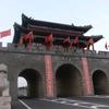 塔山婆媳头像