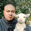西安石头烤全羊(王秋实)头像