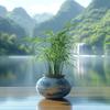 三餐与四季头像