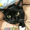 大眼睛搞笑配音头像