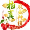 烟台柏真建筑劳务有限公司头像