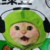 胖熊（求关注）头像