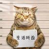 搞笑界的包工头头像