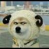 安道尔头像