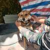 羊靴子猎户头像