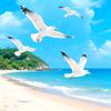蓝海头像