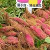 不问前程，只管善良，头像