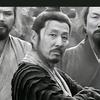 张部长头像