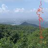 小李子头像