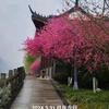 孤影远帆头像