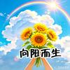 半生独自渡头像