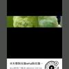 大哥阮仕强wha阮仕强哥t哥e阝阝户防阮头像