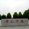 天中强哥（怀旧记忆）头像