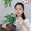 周姐头像