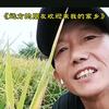 乘风破浪的云朵头像