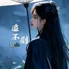 追不剧头像
