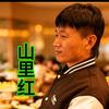 . 山里红家乡推荐官头像