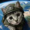 熊猫战略头像