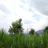 学生头像