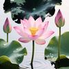 海上明月一头像