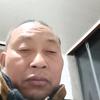 鸿运高照头像