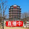秀美浠川头像