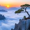 登高望远头像