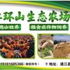 靖哥哥头像
