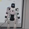 杨锦华【集结】头像