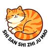 十三是只橘猫头像