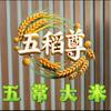 五常大米良子头像