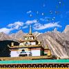ལྷ་མོ།头像