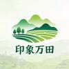 印象万田头像