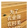 明月清风头像