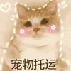 ✨全国宠物托运头像