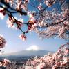 潢川花大姐头像
