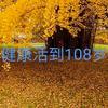 健康活到108岁头像