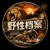 野性档案头像