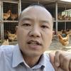 老刘谈禽助农头像