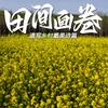 群众头像