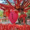 刘顺头像
