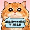 呆小布 剧场头像