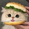 猫宝外卖头像