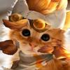 潮烟の橘猫头像