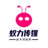全息投影工程狮头像