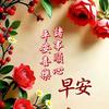 菜篮子…🥰头像