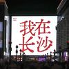 长沙商K接待统筹头像