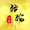 骆驼影视头像