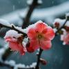 紫丁香头像