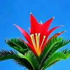 自强不息珍头像